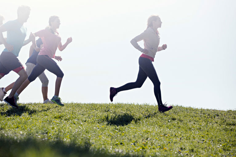 Woluwe Park, Brussels
