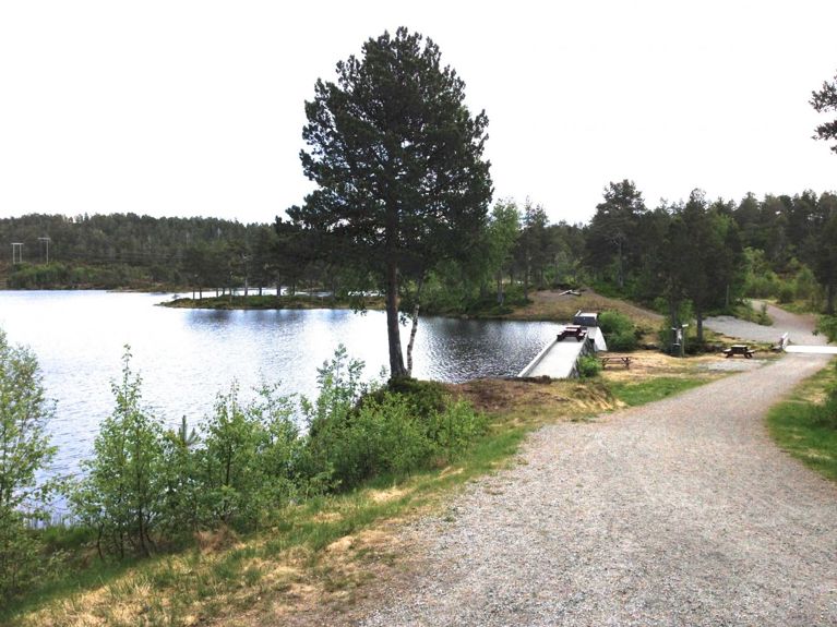 Jensgurilia