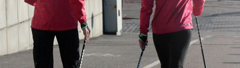 Marche nordique SGL - Forêt de Marly